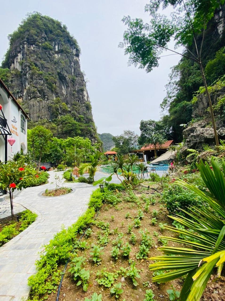 Tam Coc Galaxy Villa Ninh Binh Bagian luar foto